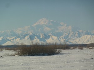 View of Denali-Ski Train