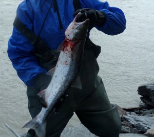 Success! Copper Red!