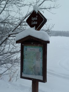 Lynx Lake-there is a sign!