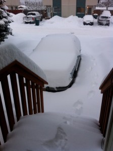 Welcome Home! Anchorage with 2.5 ft of new!