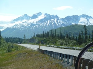 Along the Fireweed Race