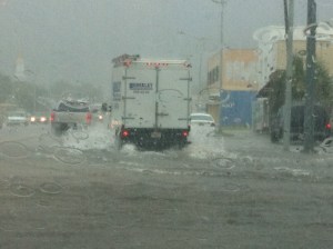 Typical Charleston Post-rain situation