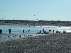 Dipnetters in action! 