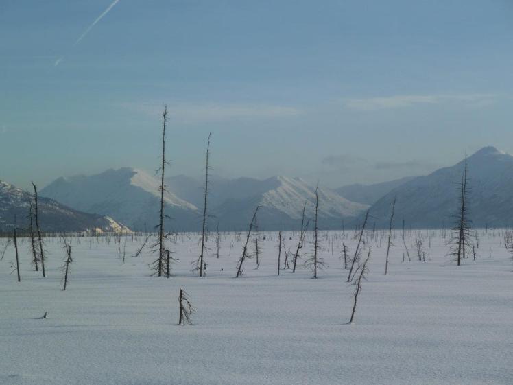 View from Refuge, Anchorage