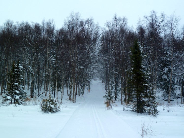 Outer Lake Loop, Kincaid Park