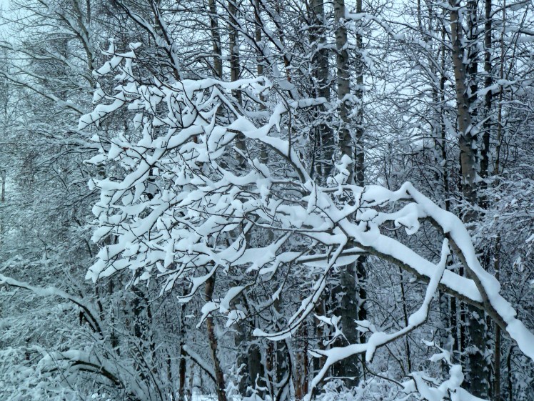 Waiting, Kincaid Park