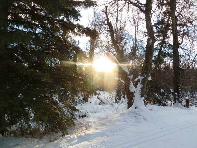 Mize Loop, Kincaid Sun