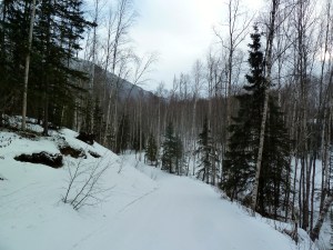 Coyote Trail, Mirror Lake