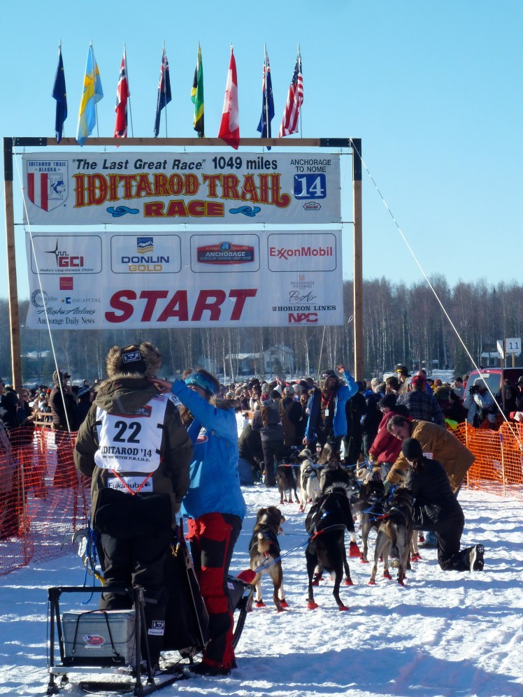 Musher Robert Sorlie