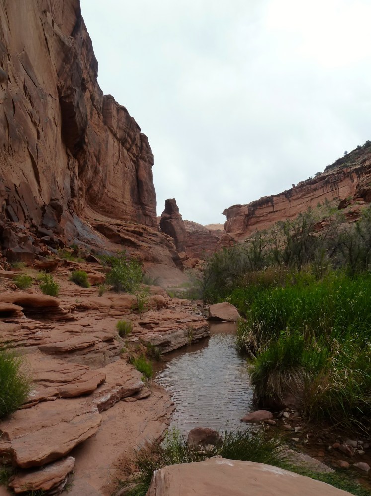 Water of Hunter Canyon
