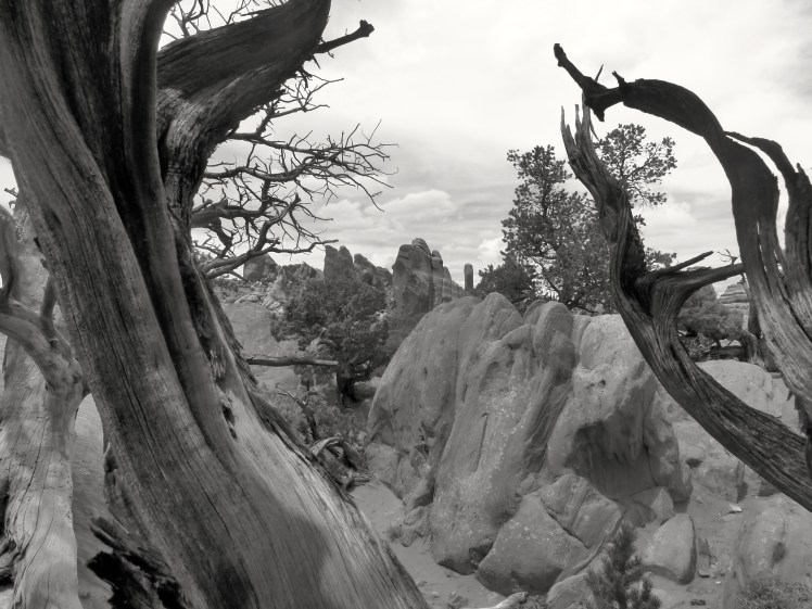 Black Arch Overlook Area, Arches National Park